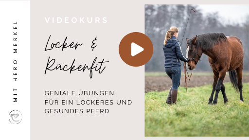 Produktbild Lockerungsmaßnahmen Produktbild Lockerungsmaßnahmen