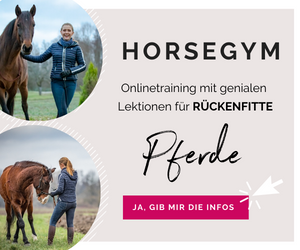 Banner Horsegym, 300x250px