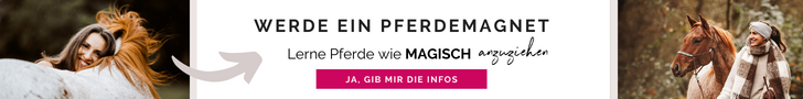 Banner Werde ein Pferdemagnet, 728x90px