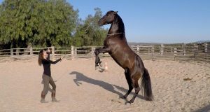 Kenzie Dysli und Ostwind Star Atlia