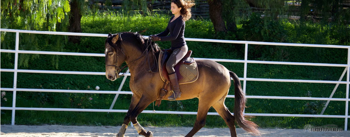 Kenzie Dysli reitet Doma Vaquera