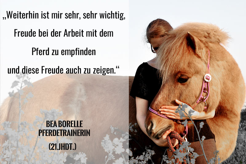 Beitragsbild Pferdefreunde