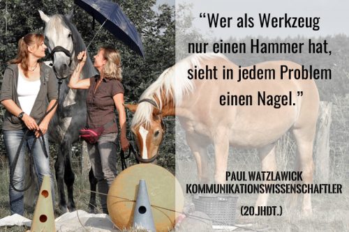 Wege zum Pferd - richtiges Pferdetraining