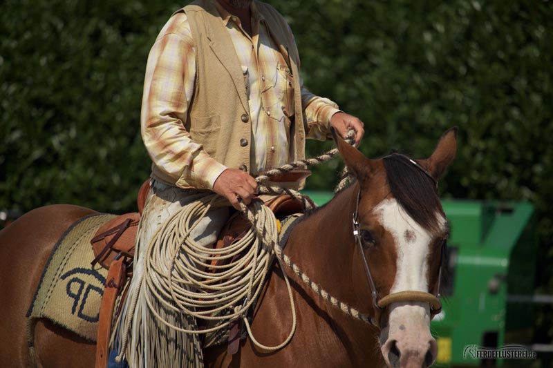 Horsemanship Paul Dietz