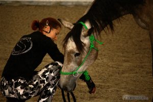 Vox Pferdeprofi Sandra Schneider kuschelt mit Pferd