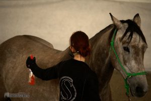 Pferdeprofi Sandra Schneider beim Problempferde Training