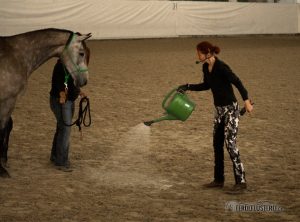 Pferdeprofi Sandra Schneider beim Problempferde Training