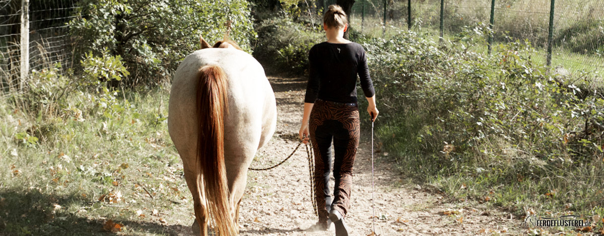 Spazieren gehen mit dem Pferd - Signorinetta Reithosen