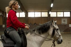 Andrea Eschbach testet Bosal