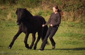 Sabine Wendland