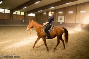 Gebisslos mit dem Bosal reiten