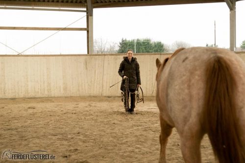 Pferd rufen