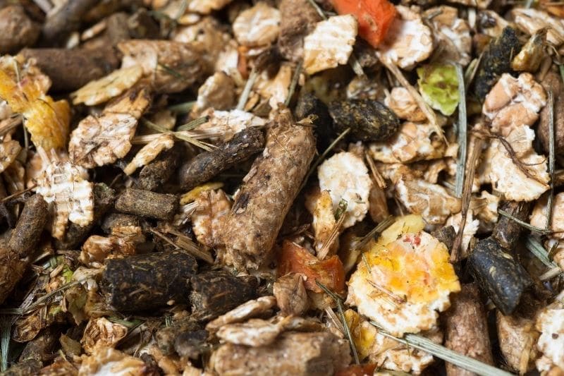 Kolik beim Pferd! Alle wichtigen Facts auf einen Blick 3 Pferde Müsli