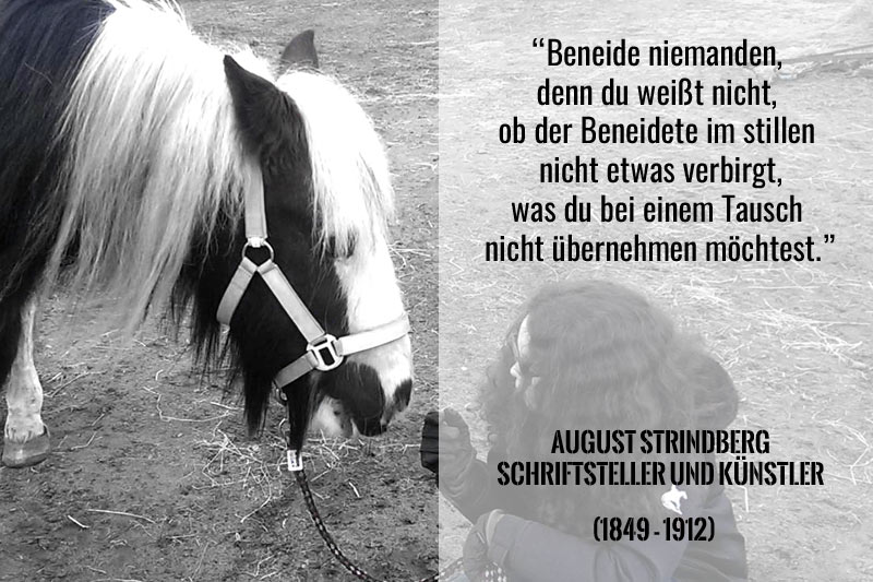 Neid Im Pferdetraining Ist Alles Gold Was Glänzt