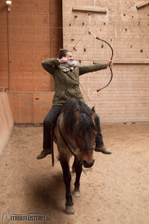 Horse Aikido Frei Reiten Bogenschiessen
