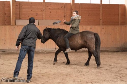 Horse Aikido Frei Reiten Bogenschiessen