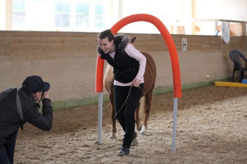 Horse Agility (Foto: Reiner Kolsen)