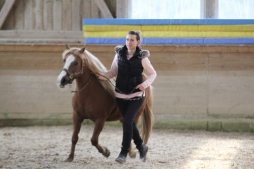 Horse Agility (Foto: Reiner Kolsen)