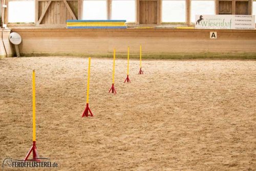 Horse Agility Corinna Ertl