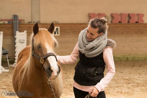 Horse Agility Corinna Ertl