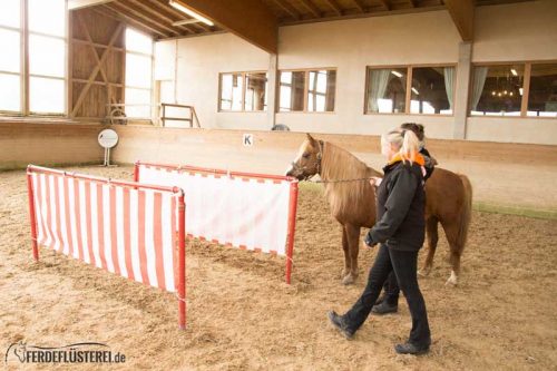 Horse Agility Corinna Ertl