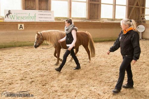 Horse Agility Corinna Ertl