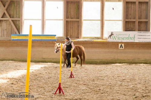 Horse Agility Corinna Ertl