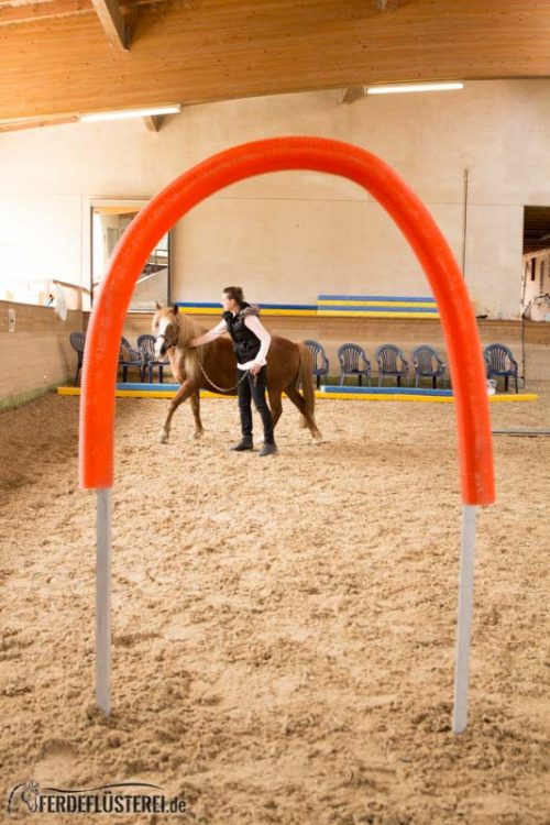 Horse Agility Corinna Ertl