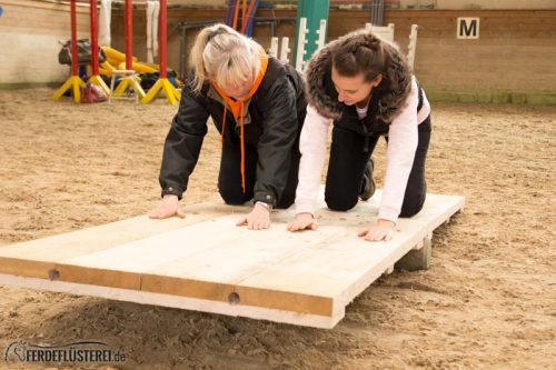 Horse Agility Corinna Ertl