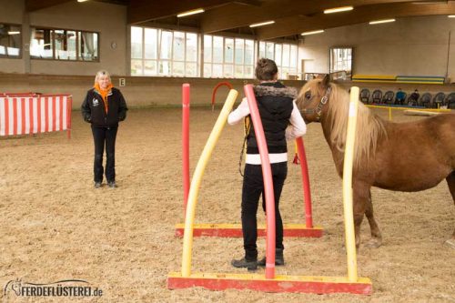 Horse Agility Corinna Ertl