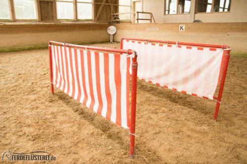 Horse Agility