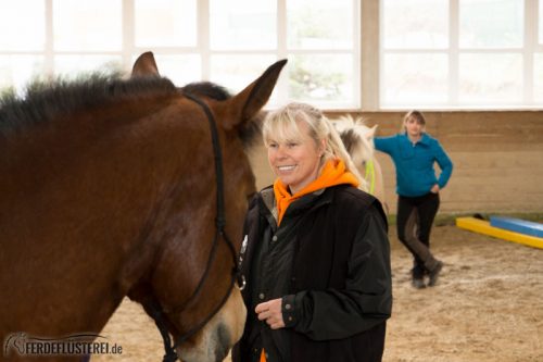 Horse Agility Corinna Ertl