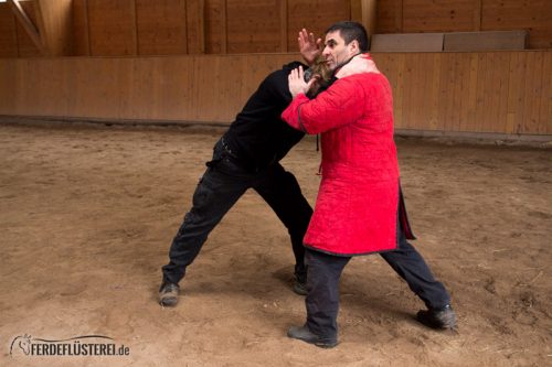 Kampfkunst Pferd