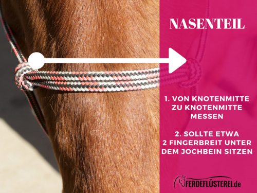 Knotenhalfter richtig ausmessen - Das Nasenteil