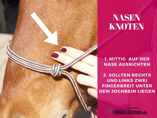 Knotenhalfter richtig ausmessen - Der Nasenknoten