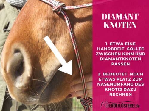 Knotenhalfter knoten - Der Diamantknoten