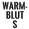 Warmblut S