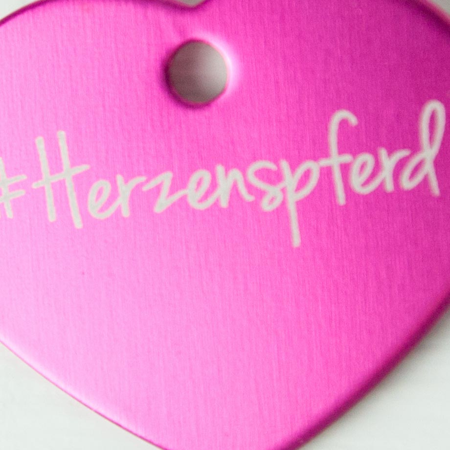 Herzenspferd