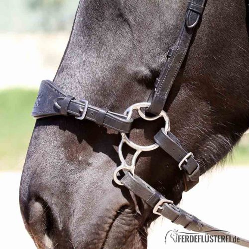 Hackamore von Barefoot - BF-HM-S/36 - BF-NR-BK/36