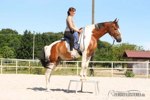 Reitpad guter Sitz