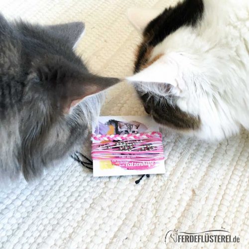 Weltfreund Charity Bundle - KATZEN