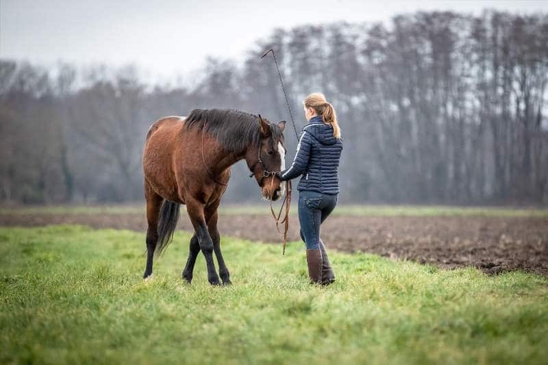 Hero Merkel mit Pferd (Bild: Caroline Burgert Photografie) Seitengang