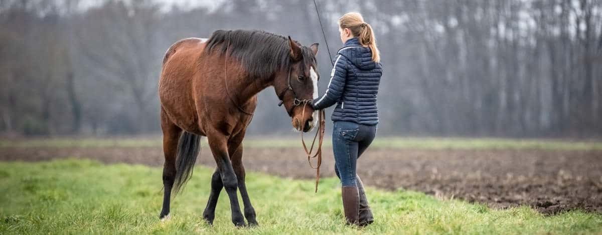 Hero Merkel mit Pferd (Bild: Caroline Burgert Photografie)