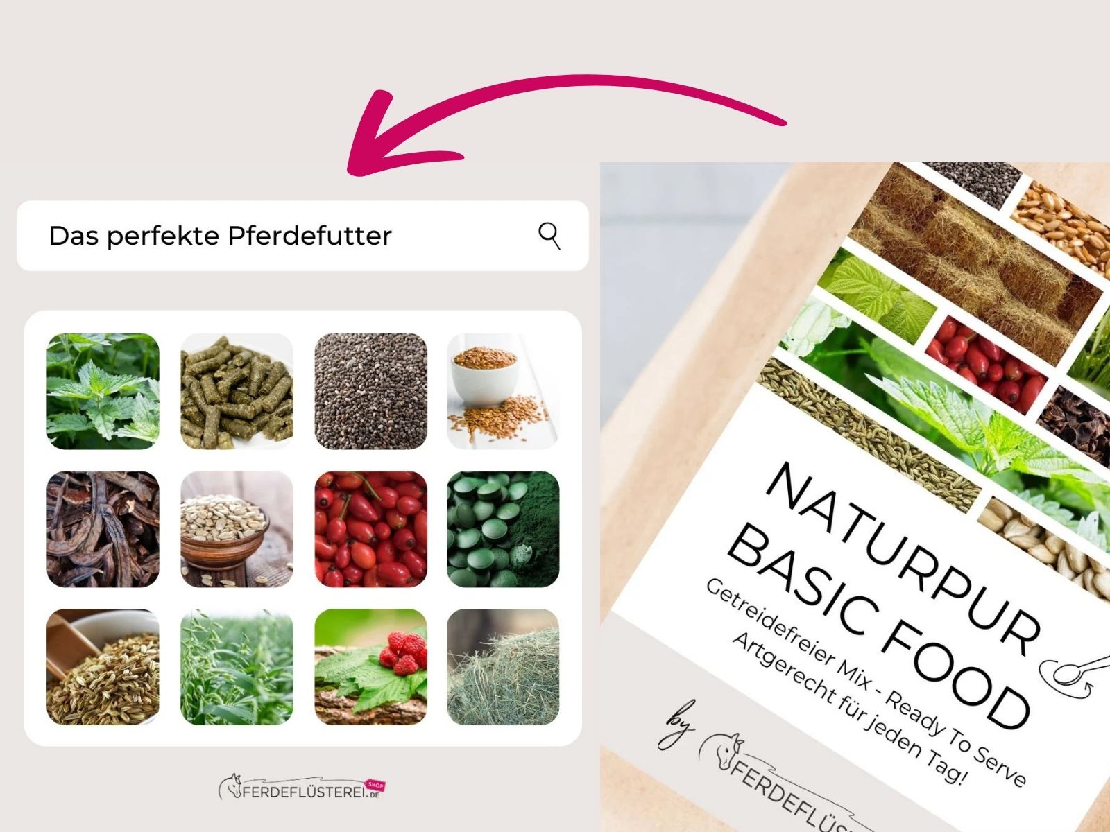 MY PferdeMÜSLI: Deshalb sind Kräuter das Powerfood für dein Pferd 5 NaturPur Pferdemüsli Pferdeflüsterei
