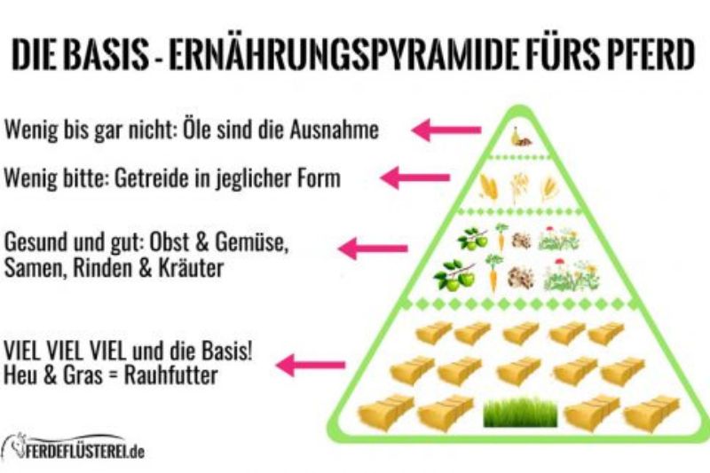 Pferdemüsli - Ernährungspyramide Pferd