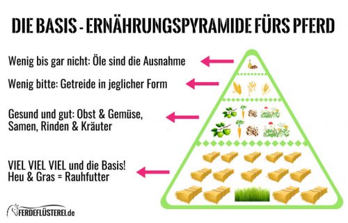 Ernährungs Pyramide Pferd