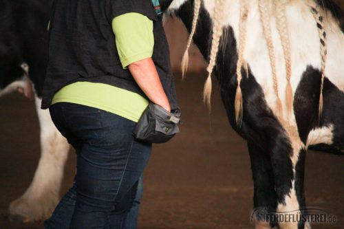 Clickern Sady positive Verstärkung Zirkuslektionen - dehnen