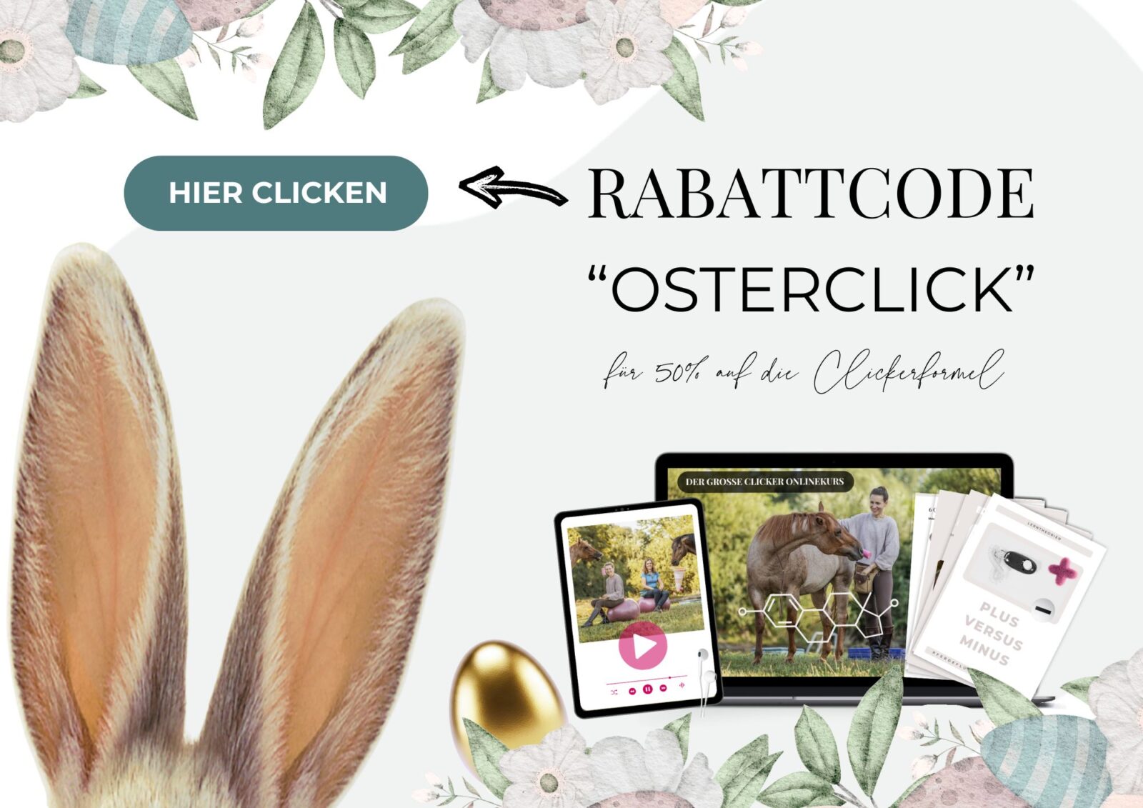 Clickern für motivierte Pferde: Dein Einstieg ins Clickern 1