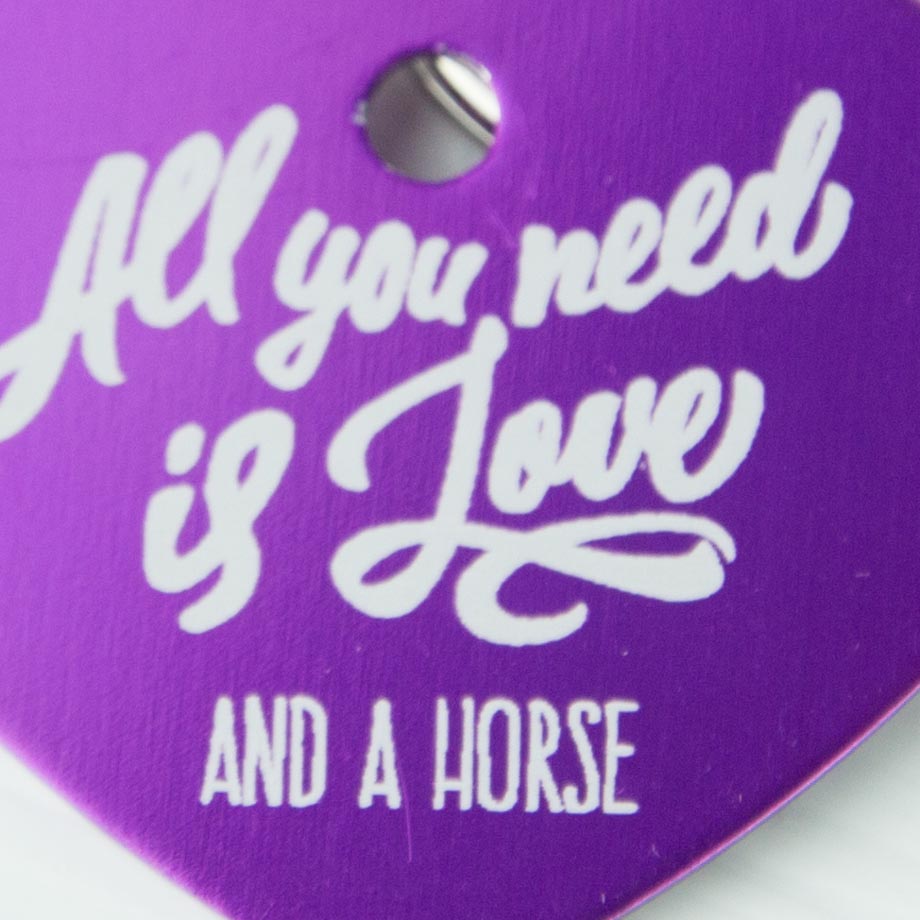 Soulhorse - All you need