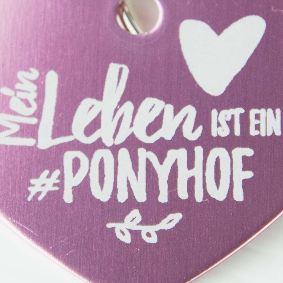 Soulhorse - Ponyhof Pixiedust